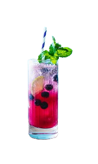 Blueberry Mojitto 