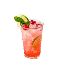 Raspberry Mojitto 